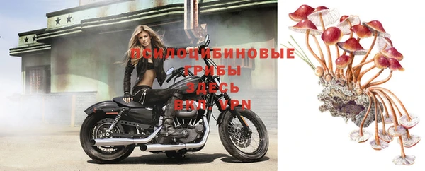 гидропоника Бородино