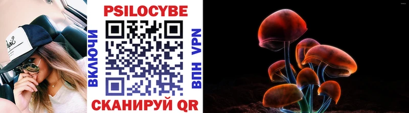мега tor  Великий Устюг  Галлюциногенные грибы прущие грибы 