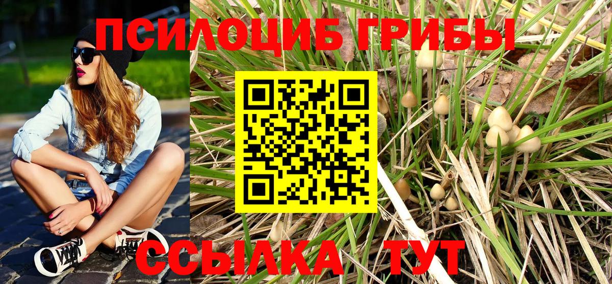Галлюциногенные грибы ЛСД Великий Устюг