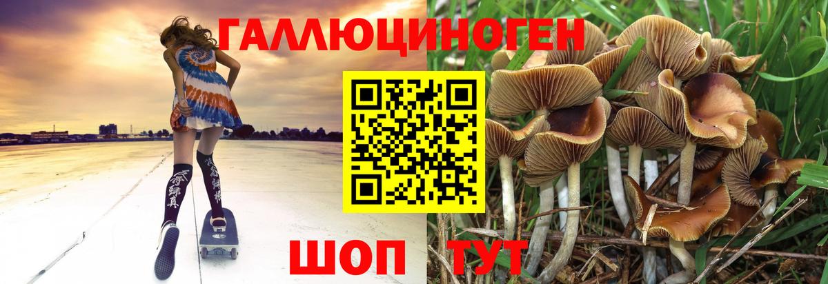 Псилоцибиновые грибы GOLDEN TEACHER  Вход с VPN  где купить наркотик  Великий Устюг 
